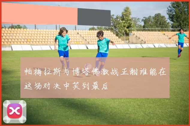 帕梅拉斯与博塔佛激战正酣谁能在这场对决中笑到最后