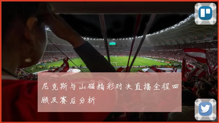 尼克斯与山猫精彩对决直播全程回顾及赛后分析