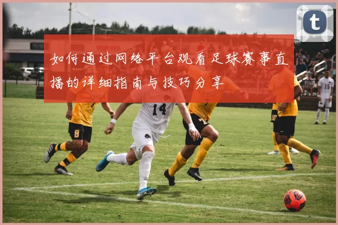 如何通过网络平台观看足球赛事直播的详细指南与技巧分享