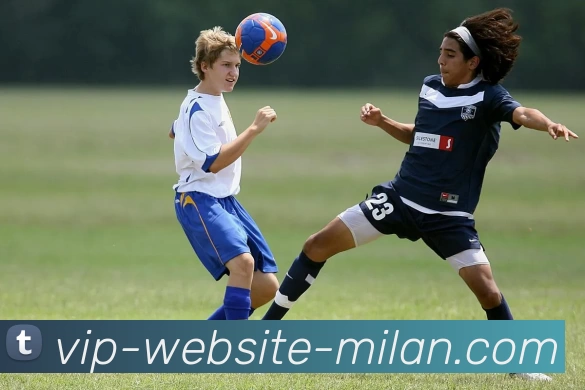 米兰体育官网服务体系